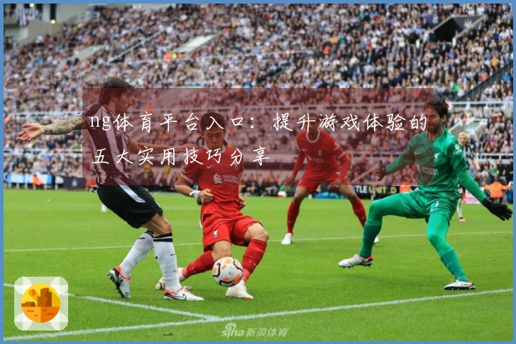 ng体育平台入口:提升游戏体验的五大实用技巧分享
