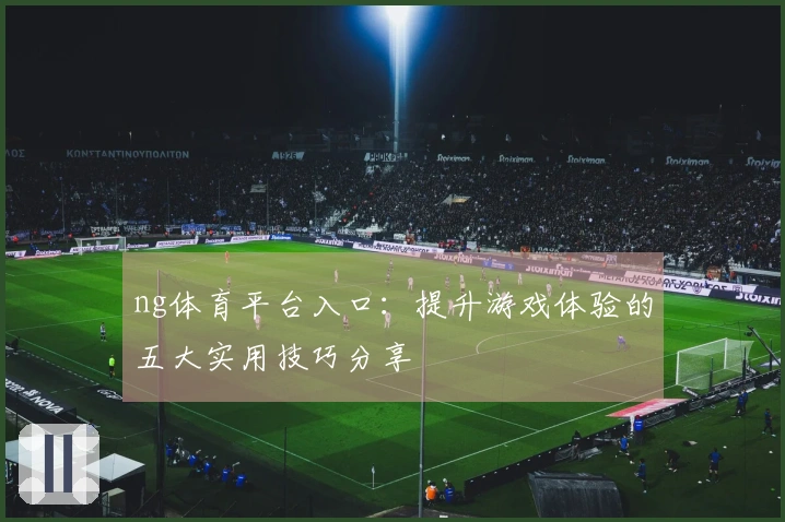 ng体育平台入口：提升游戏体验的五大实用技巧分享